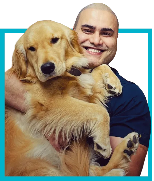 Stella, the pet ofDr. Omid Mavedati, The Vet and BAAH founder